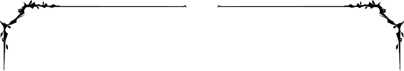bitmap_frame-top